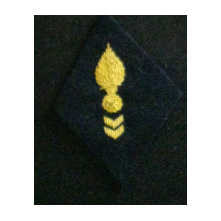 losange de bras modèle 45 CTA CANNETILLE : insigne de losange de bras du corps technique et administratif en cannetille or