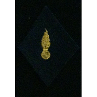 losange de bras modèle 45 :  cadre du corps des experts en fils dorés