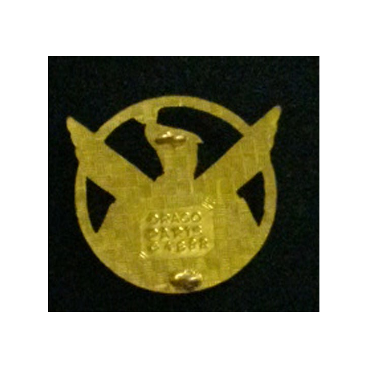 8° GALAT : insigne du 8° groupe de l'aviation légère de l'armée de terre de fabrication Drago G. 1822 en émail
