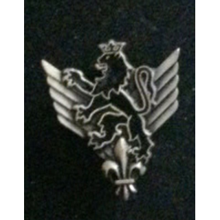 6° RHC : insigne du 6° régiment d'hélicoptères de combat de fabrication Drago G. 1904 embouti