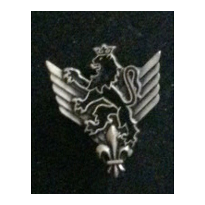 6° RHC : insigne du 6° régiment d'hélicoptères de combat de fabrication Drago G. 1904 embouti