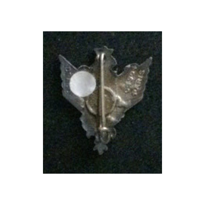 6° RHC : insigne du 6° régiment d'hélicoptères de combat de fabrication Drago G. 1904 embouti