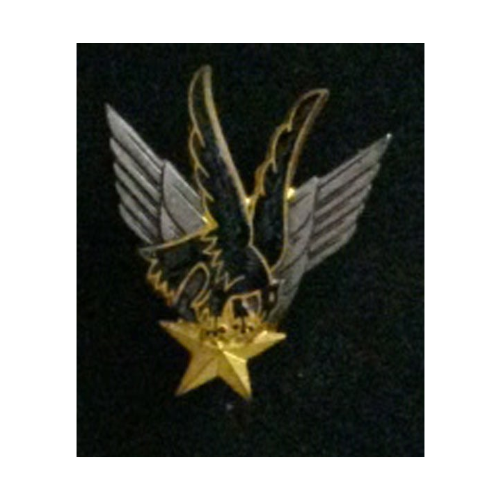 GALDIV n° 11 : insigne du groupe d'aviation légère divisionnaire n° 11 de fabrication Drago en émail