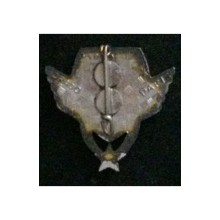 3° GALAT : insigne du 3° groupe de l'aviation légère de l'armée de terre de fabrication Drago G. 1969 en émail