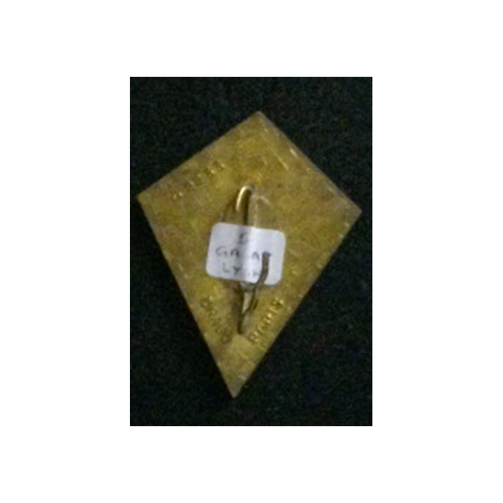 5° GALREG : insigne du 5° groupe de l'aviation légère régionale de l'armée de terre de fabrication Drago G. 2233 épingle coupée