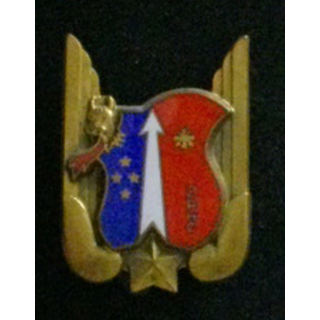 2° RHC : insigne du 2° régiment d'hélicoptères de combat de fabrication FIA G. 2804 petite tête en émail
