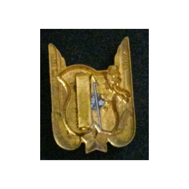 2° RHC : insigne du 2° régiment d'hélicoptères de combat de fabrication FIA G. 2804 petite tête en émail