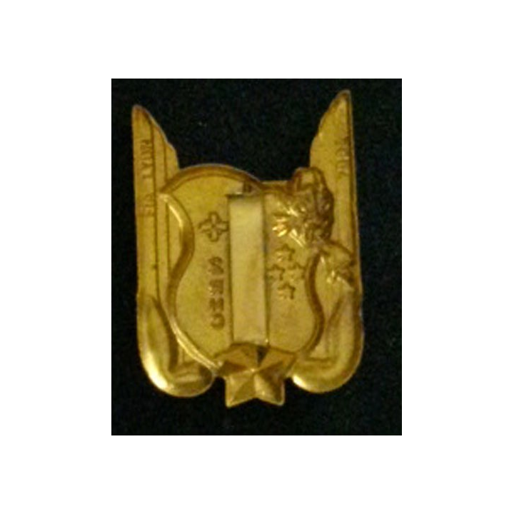 2° RHC : insigne du 2° régiment d'hélicoptères de combat de fabrication FIA G. 2804 grosse tête en émail