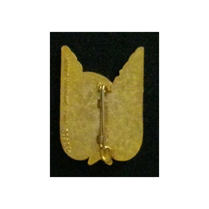 2° RHC : insigne du 2° régiment d'hélicoptères de combat de fabrication Arthus Bertrand G. 2804 grosse tête en émail