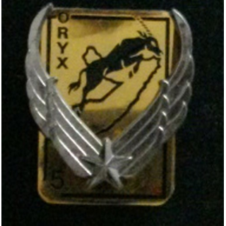 5° RHC : insigne du 5° régiment d'hélicoptères de combat type 2 opération ORYX de fabrication Delsart G. 2863 matriculé