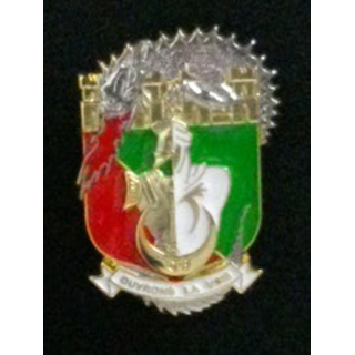19° RG CA : insigne de la compagnie d'appui du 19° Régiment du Génie de fabrication Arthus Bertrand