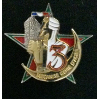 insigne de la 3° compagnie "mécanisé génie d'acier" du 19° Régiment du Génie Delsart