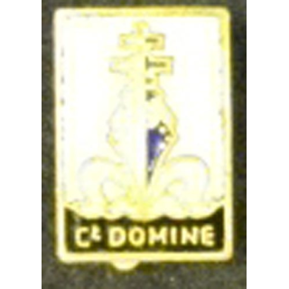 COMMANDANT DOMINE INSIGNE BOUTONNIÈRE MINIATURE EMAIL