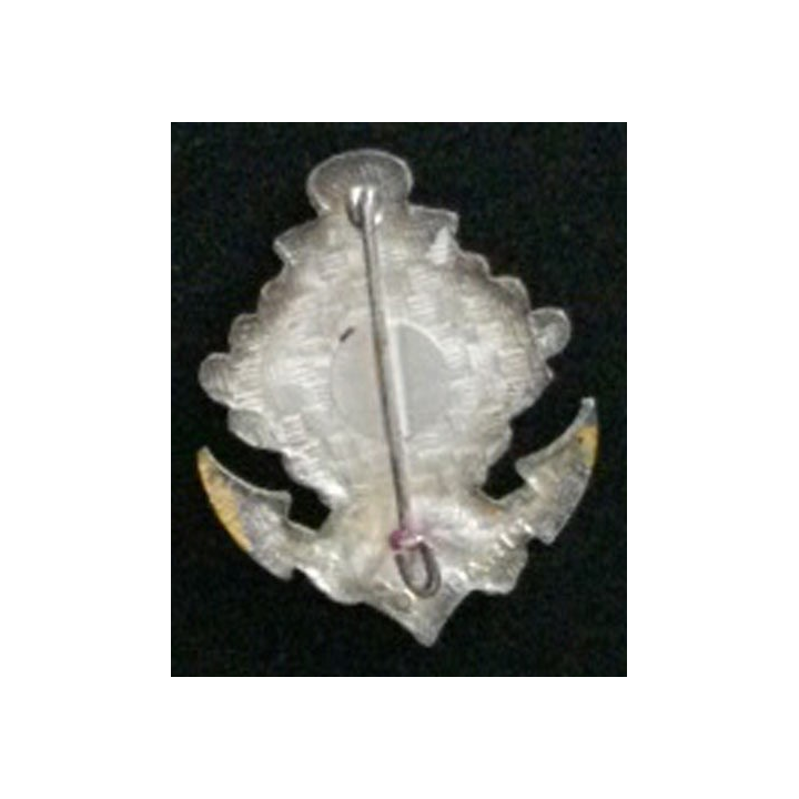 1° RPIMA 2° CIE : insigne de la 2° compagnie du 1° régiment de parachutiste d'infanterie de marine de fabrication Drago en émail