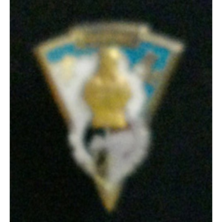 34° RG : insigne du 34° régiment du génie fabrication Drago  G. 2025