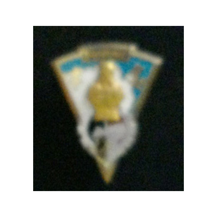 34° RG : insigne du 34° régiment du génie fabrication Drago  G. 2025