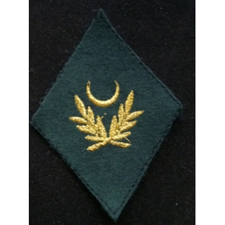 Insigne rare de losange de bras d'aumônier musulman