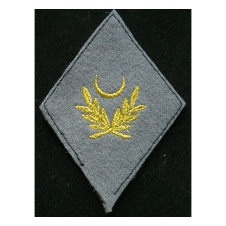 Insigne rare de losange de bras d'aumônier musulman
