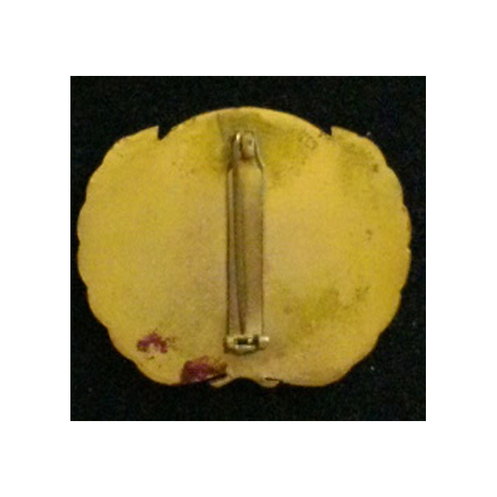 insigne de béret de l'Organisation des Nations Unies 