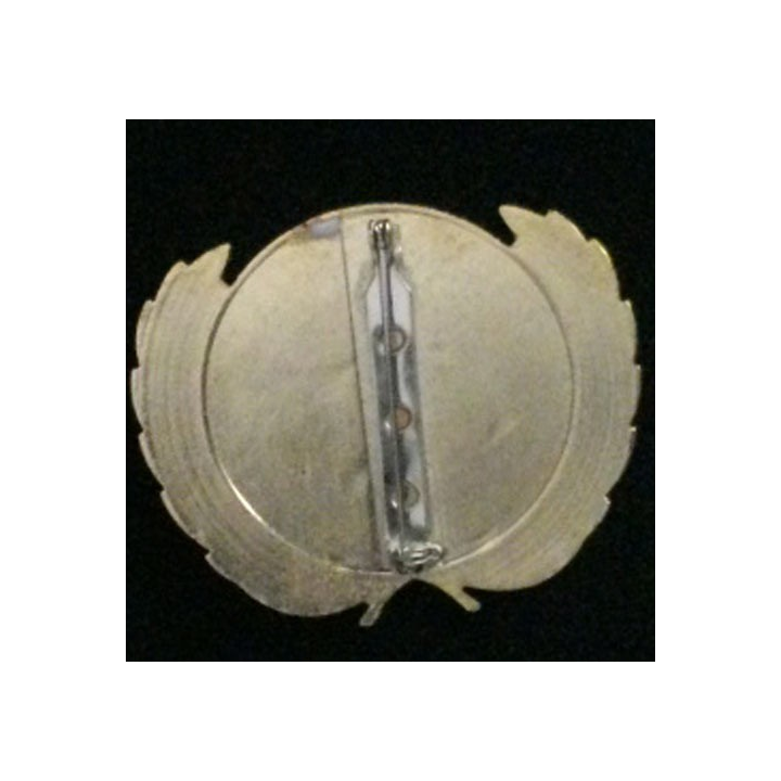 INSIGNE DE BÉRET DE L'ONU : insigne de béret de l'Organisation des Nations Unies dos lisse et argenté