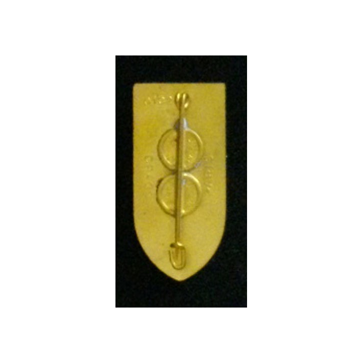 CIG 1 : insigne du centre d'instruction du génie n°1 G. 1326