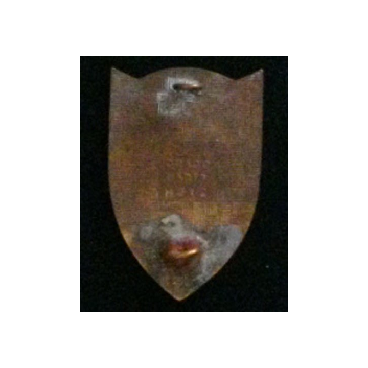5° RG : insigne du 5° régiment du génie en émail de fabrication Drago H. 212 dos guilloché