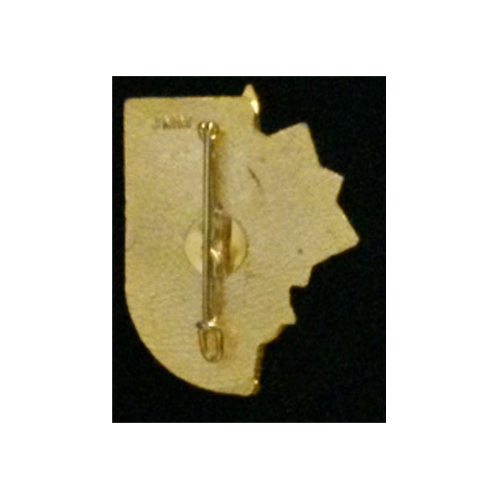 2° RG : insigne de la 971°compagnie d'aide au déploiement du 2° régiment du génie en émail de fabrication JMM