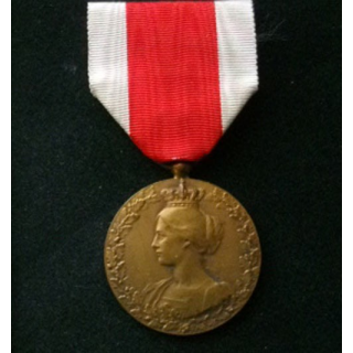 BELGIQUE : médaille commémorative bronze du comité national de secours et d'alimentation 1914-1918