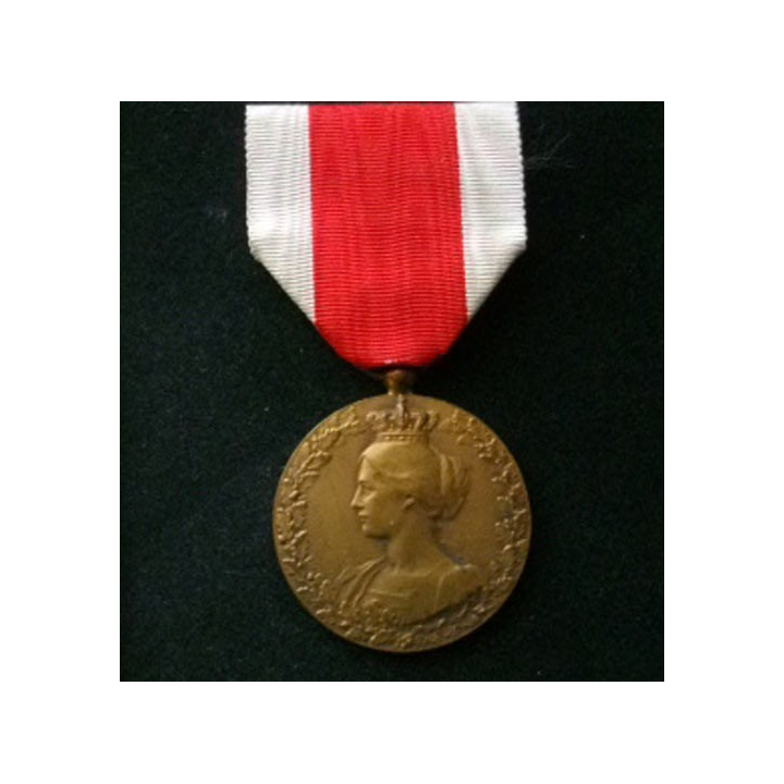 BELGIQUE : médaille commémorative bronze du comité national de secours et d'alimentation 1914-1918