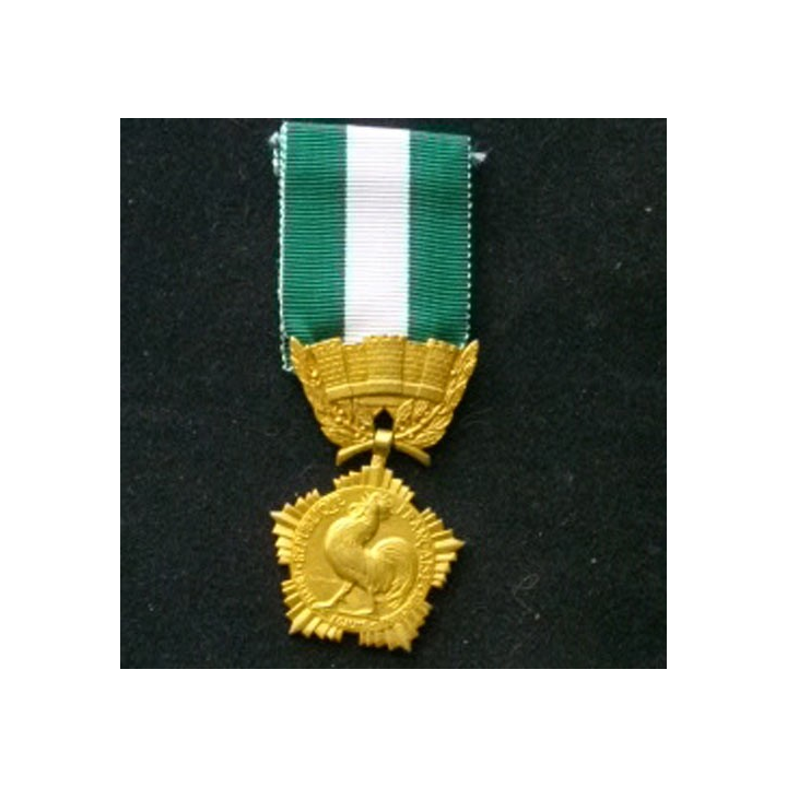 FRANCE : médaille des collectivités locales en vermeil