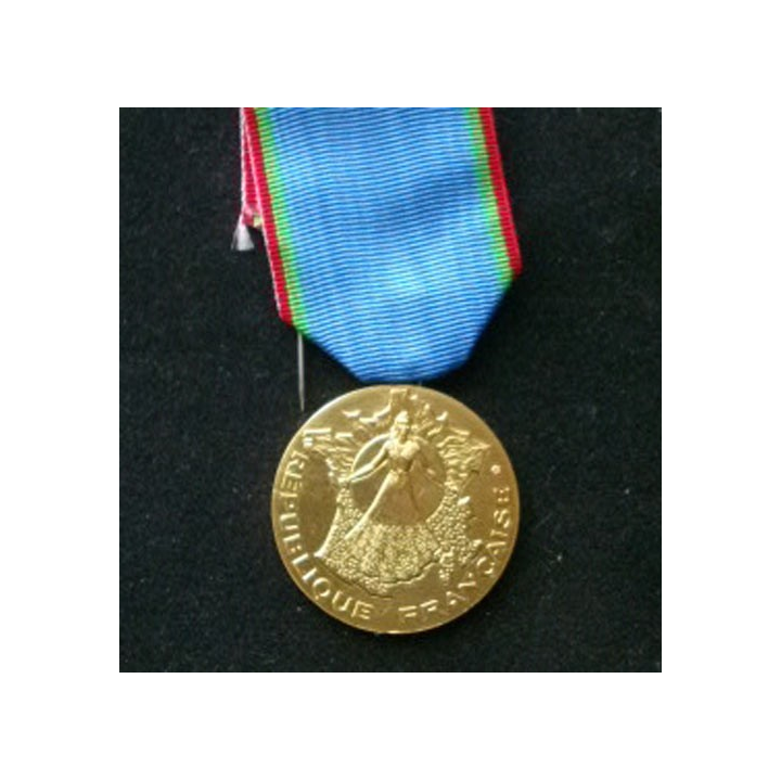 FRANCE : médaille du tourisme en bronze brillant