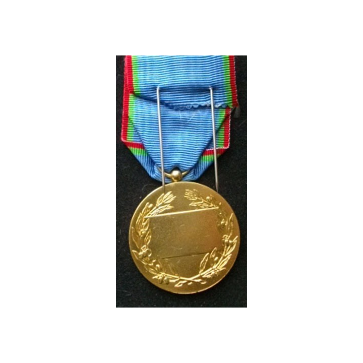 FRANCE : médaille du tourisme en bronze brillant