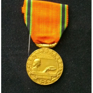 FRANCE : médaille de la société nationale d'encouragement au Bien "Aimons-nous - Aidons-nous"
