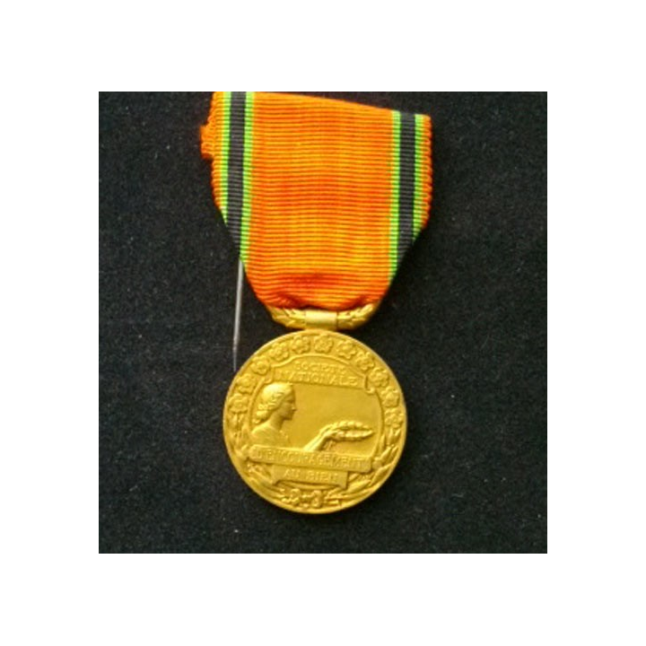 FRANCE : médaille de la société nationale d'encouragement au Bien "Aimons-nous - Aidons-nous"