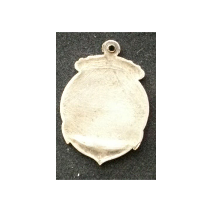 FRANCE : médaille de la fédération nationale de sauvetage sans ruban en bronze argenté ou en argent ?