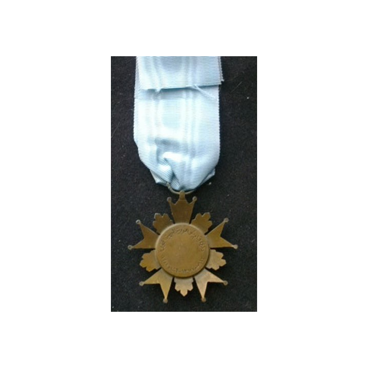 INCONNUE : médaille d'Egypte ? concernant la commémoration du canal de Suez ??