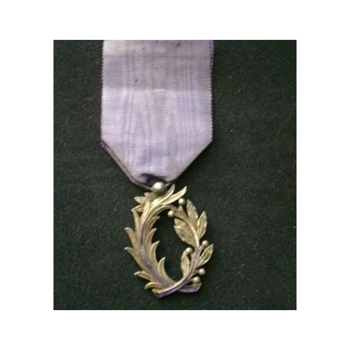 FRANCE : médaille de l'ordre des palmes académiques avec beaucoup de manques d'émail
