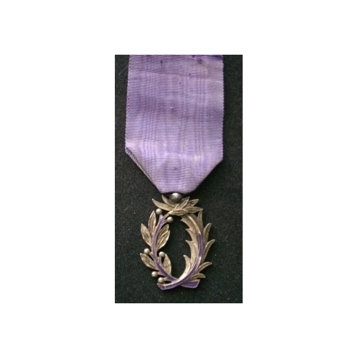 FRANCE : médaille de l'ordre des palmes académiques avec beaucoup de manques d'émail