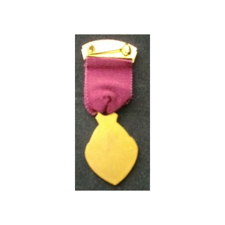 FRANC-MAÇONNERIE : médaille anglaise de la Royal masonic institute for Boys 1957 en émail avec la barrette steward
