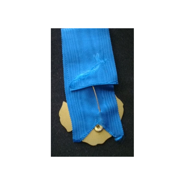 ONU : médaille de la force internationale au Liban de fabrication locale (fantaisie d'un contingent ?)