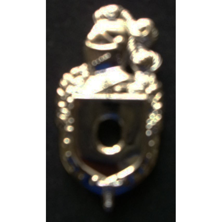 plateau des insignes de la gendarmerie départementale en métal argenté