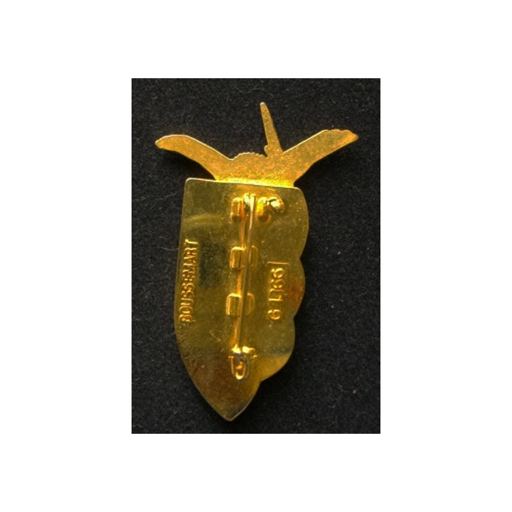 9° RCP : insigne du 9° régiment de chasseurs parachutistes couleur miel translucide fabrication Boussemart G.1366