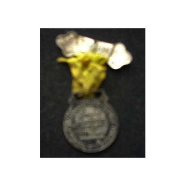 médaille du X° anniversaire de l'oeuvre des pupilles des sapeurs pompiers