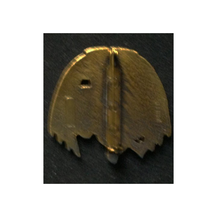 brigade de commandement des transmissions BCT 5° Mandat  SIC 2 trident