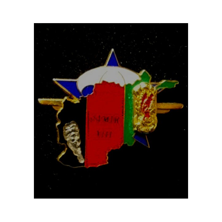 2° cie 1° régiment chasseurs parachutistes opération PAMIR XIII° RCP