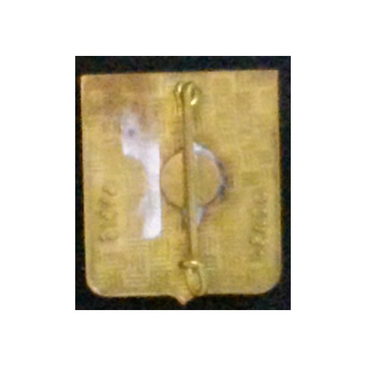 FLOTILLE 21 F : insigne  Flotille 21 F de fabrication Drago Paris  