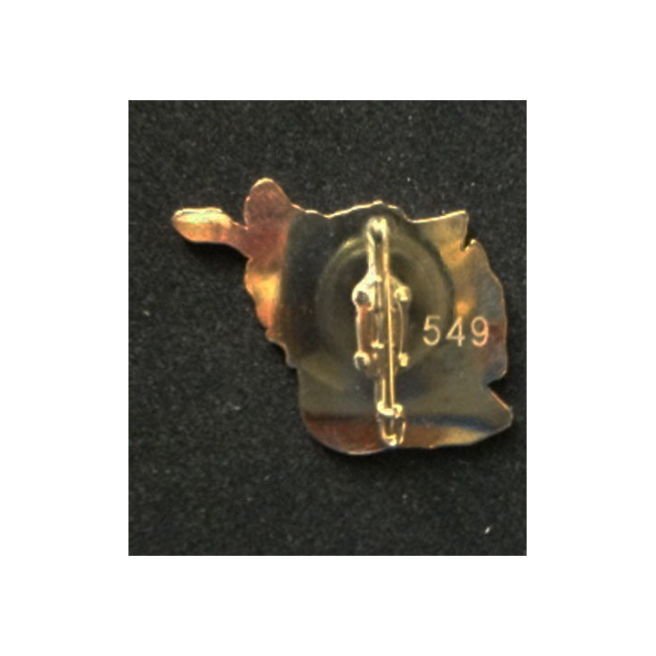 TRANS : insigne de la compagnie des transmissions de l'opération PAMIR, CIS COY RC-C, numérotée 549