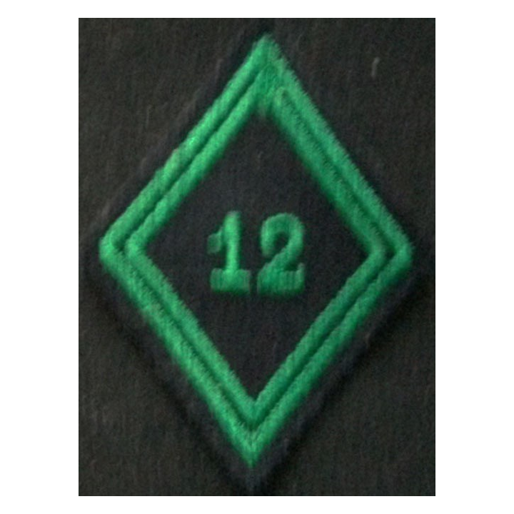 losange de bras modèle 45 ABC 12°RCH TROUPE : insigne de losange de bras du 12° régiment de chasseurs troupe