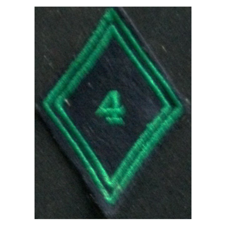 losange de bras du 4° régiment de chasseurs troupe