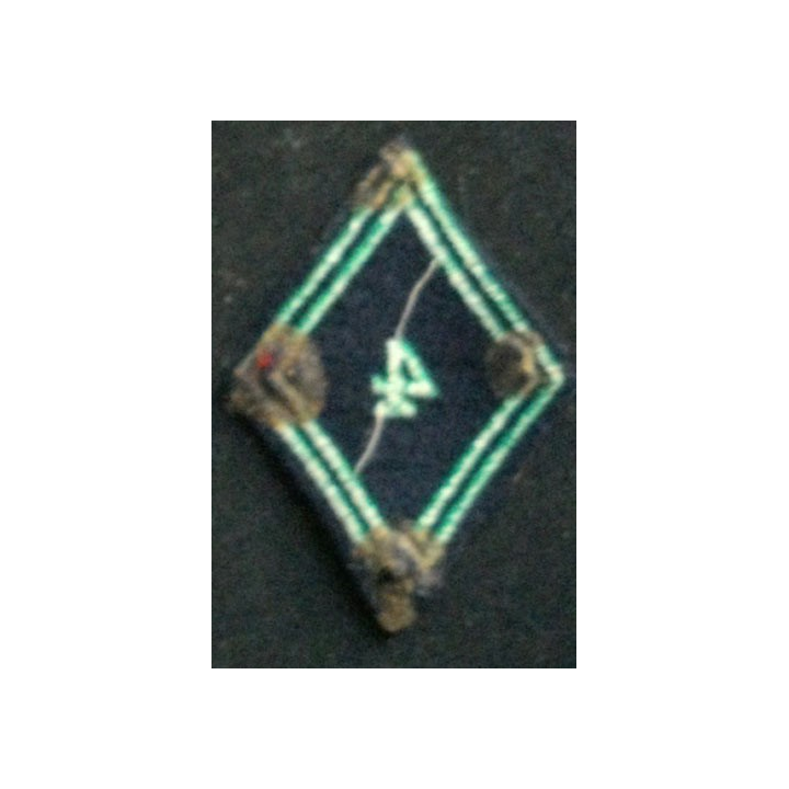 losange de bras du 4° régiment de chasseurs troupe